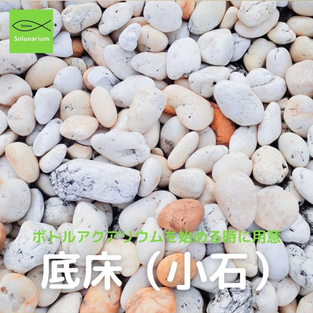 ボトルアクアリウムで用意する底床